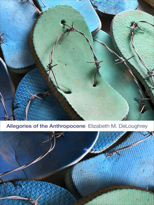 cover image of Allegories of the Anthropocene